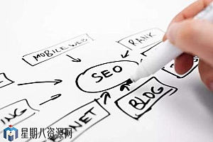 SEO高级网站数据分析提升网站排名(PDF)