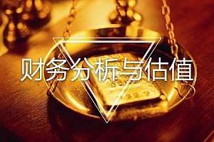 清华大学–财务分析与估值