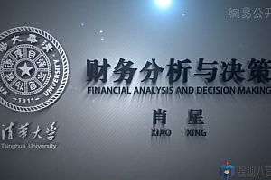 清华肖星:财务分析与决策