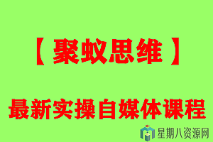 【聚蚁思维】2019年最新实操自媒体课程