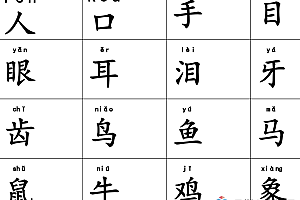 小学常用生字卡片(3272个)