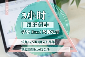 3小时跟王佩丰学会Excel数据处理