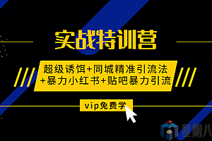 实战特训营:超级诱饵+同城精准引流法+暴力小红书+贴吧暴力引流(视频课程)