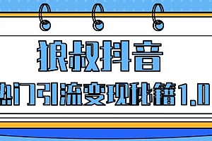 狼叔抖音热门引流变现秘籍1.0