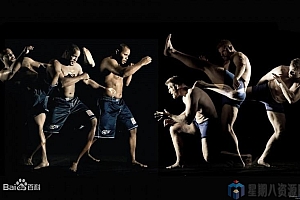综合格斗(MMA)自由搏击视频教程合集
