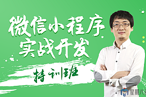 微信小程序实战开发特训班