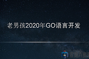 老男孩带你21周搞定Go语言
