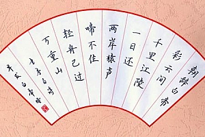 小学生硬笔书法大通关123讲【经典教程完结】