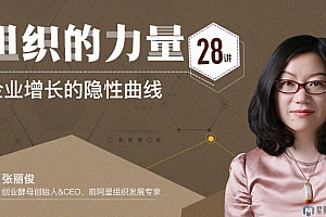 张丽俊组织的力量28讲