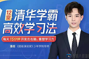清华学霸学习法:拒绝死记硬背,12节课开发左右脑,重塑学习力,让孩子高效学习