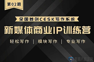 新媒体商业IP训练营课程视频