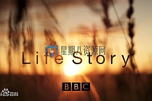 BBC 人体奥秘 全4集(1080P蓝光高清版 中文字幕)