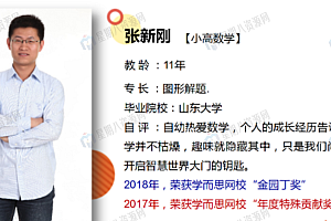 六年级数学网课+讲义(人教版)【35讲 张新刚】