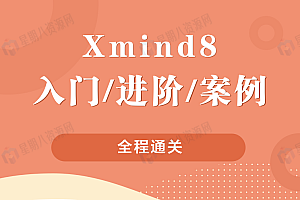 白领研究院 Xmind8零基础进阶案例全程通关