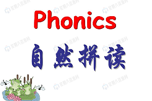 172个自然拼读发音视频课程