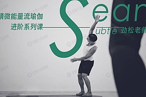 精微能量流瑜伽进阶系列课