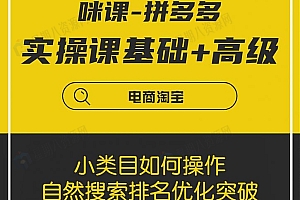拼多多实操课程基础+高级