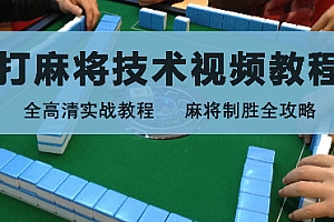 刘坚强 麻将学技术训练与技巧