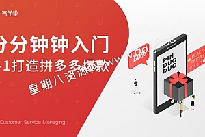 【牛气学堂】拼多多实战运营指南