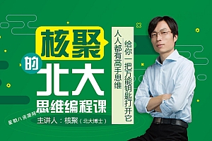 核聚 北大思维编程课