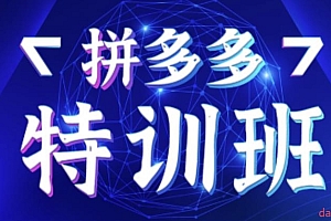 拼多多基础班+进阶班+突破班,用系统的学习模式快速改变现状