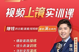 视频上镜实训课:带你0基础演出吸金爆款!