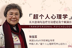 张宝蕊 超个人心理学 五大咨询与治疗方法理论