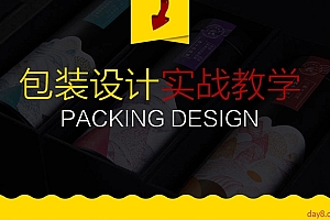 包装设计实战案例教学