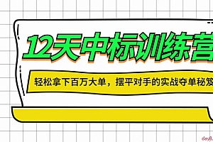 张金洋 12天中标训练营,大客户销售业绩提升