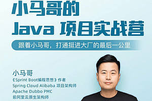 小马哥的 Java 项目实战营
