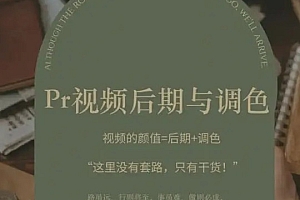 Pr视频后期与调色,视频颜值=后期+调色