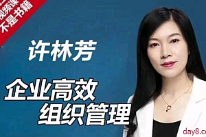 许林芳《企业高效组织管理》