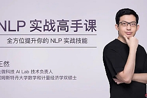 NLP 实战高手课