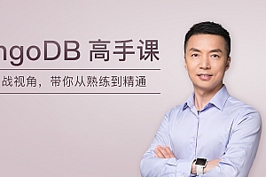 MongoDB 高手课
