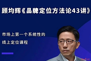 顾均辉品牌定位方法论43讲