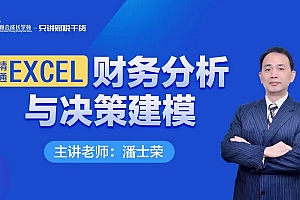 潘士荣:精通Excel财务分析与决策建模