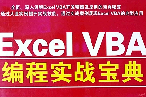 Excel VBA编程实战宝典 (伍远高)