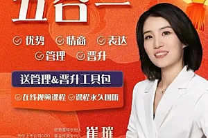 《崔璀视频课》五合一优势+情绪+表达+管理+晋升