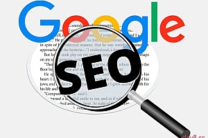 谷歌SEO实战教程:谷歌排名第一秘籍,内容从入门到高阶,适合个人及团队