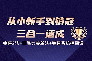从小新手到销冠 三合一速成:销售3法+非暴力关单法+销售系统挖需课 (27节)