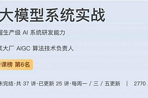 AI 大模型系统实战