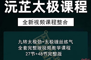 沅芷太极拳视频课合集