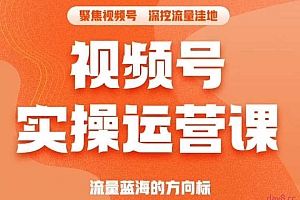 引爆蝴蝶号实操运营(共72节)