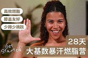 Jo·28天大基数暴汗燃脂营 高效燃脂|膝盖友好